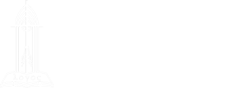 REC Singapore DEV